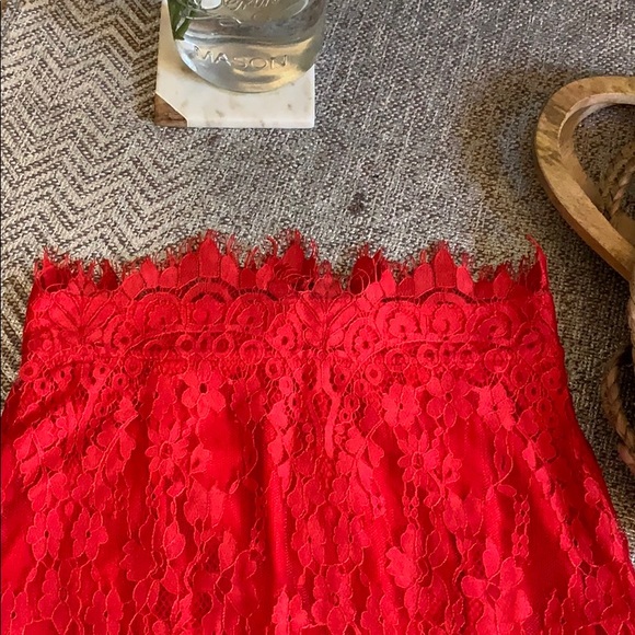 Amilee Eyelash Lace Midi Skirt - Picture 2 of 6